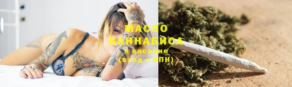 прущие грибы Богданович
