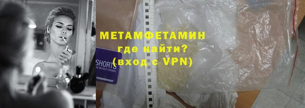 прущие грибы Богданович