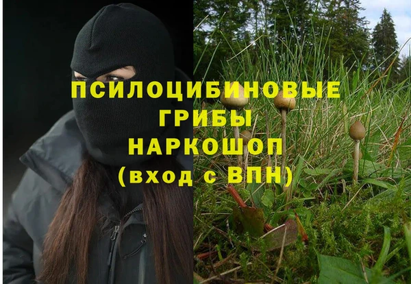 прущие грибы Богданович