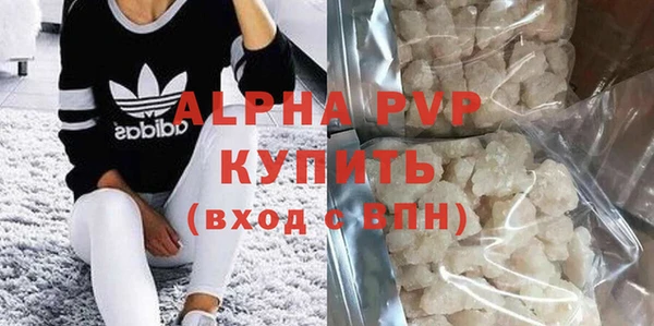 прущие грибы Богданович
