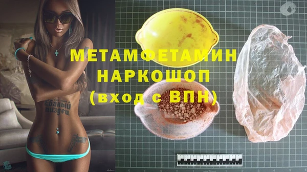 прущие грибы Богданович