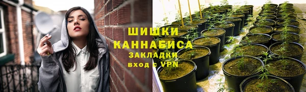 твердый Богородск