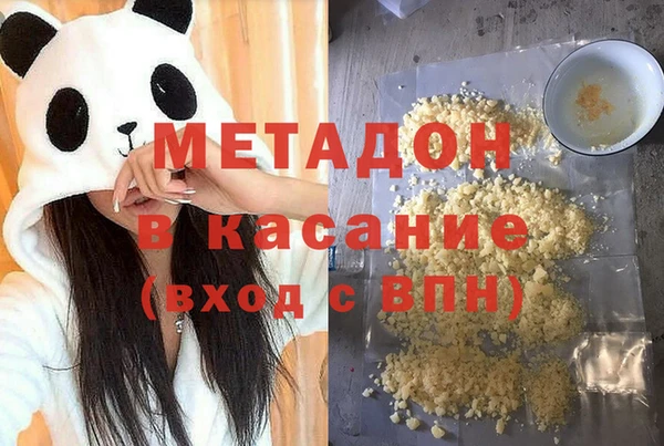 прущие грибы Богданович