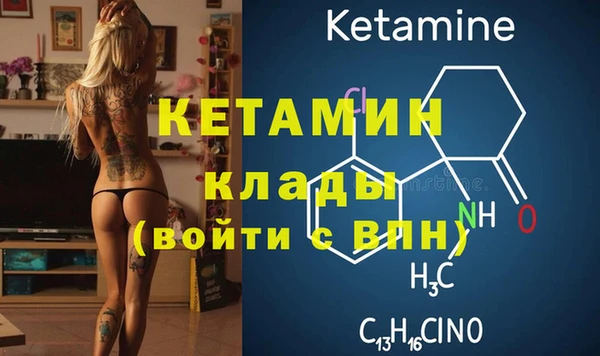 прущие грибы Богданович